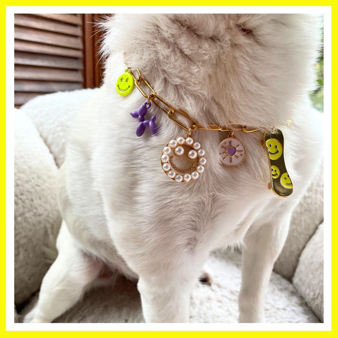The Riley Pet Necklace