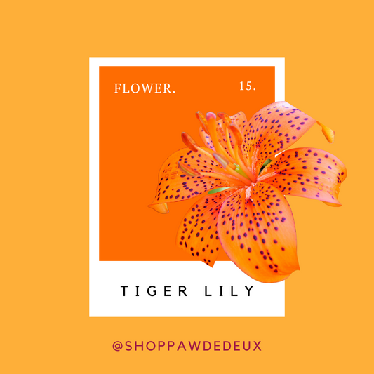 Tiger Lily Pawtone Color Swatch Sticker (#15)