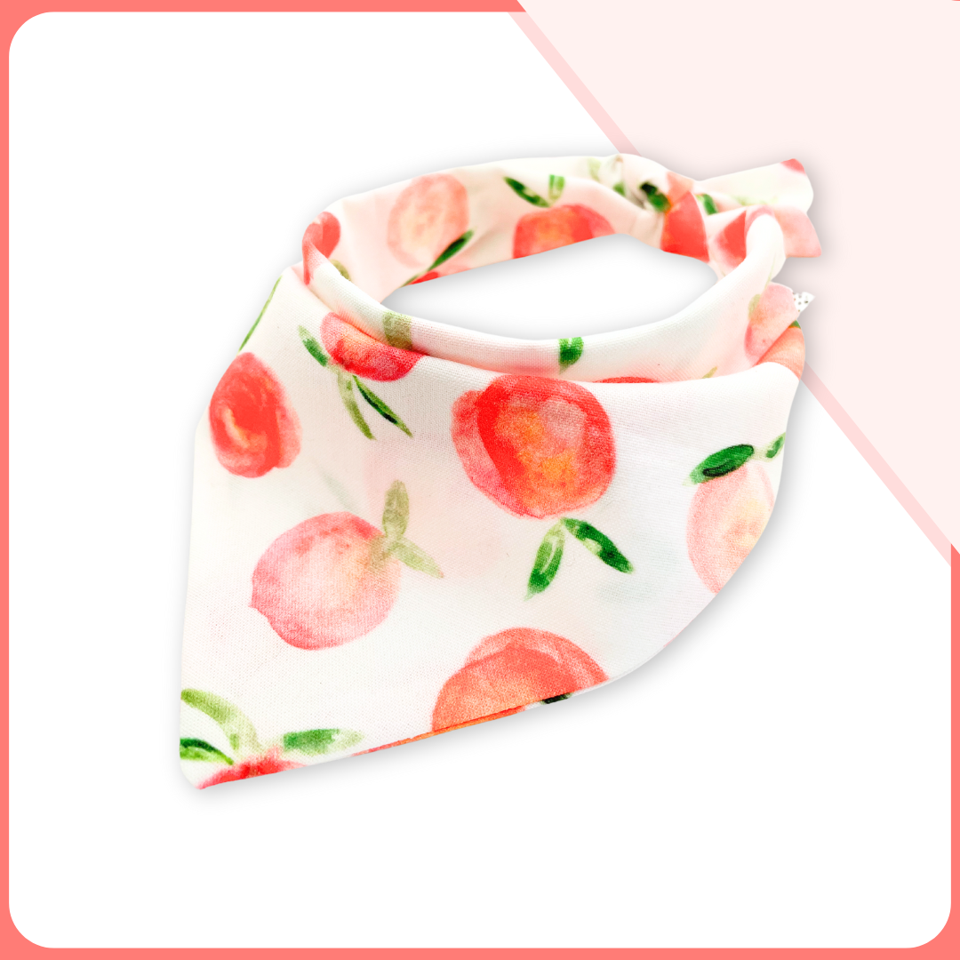 Sweet Peach Classic Pet Bandana