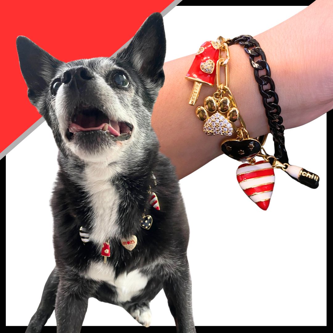 The Hanna Pet Necklace