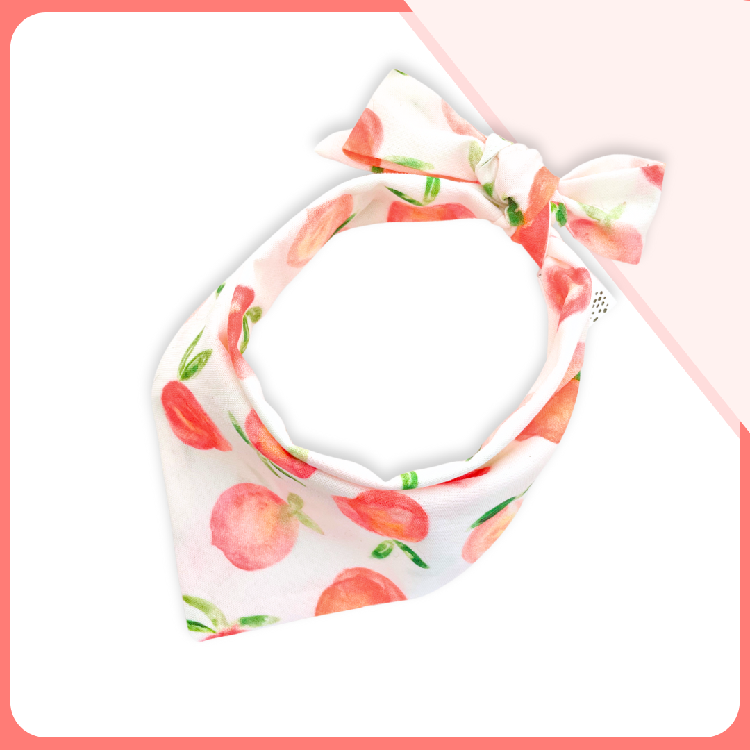 Sweet Peach Classic Pet Bandana