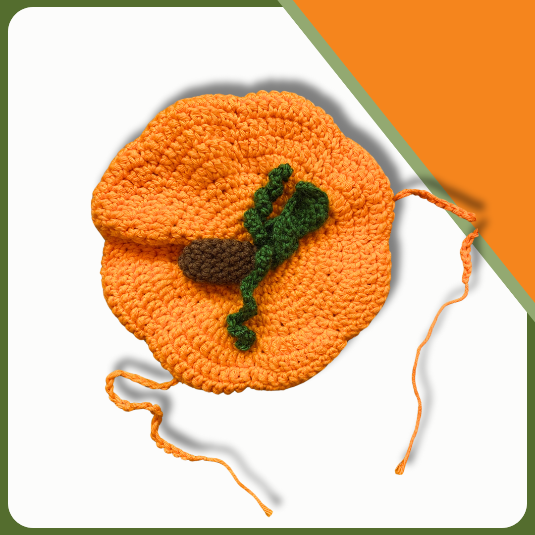 Handmade Pet Pumpkin Beret