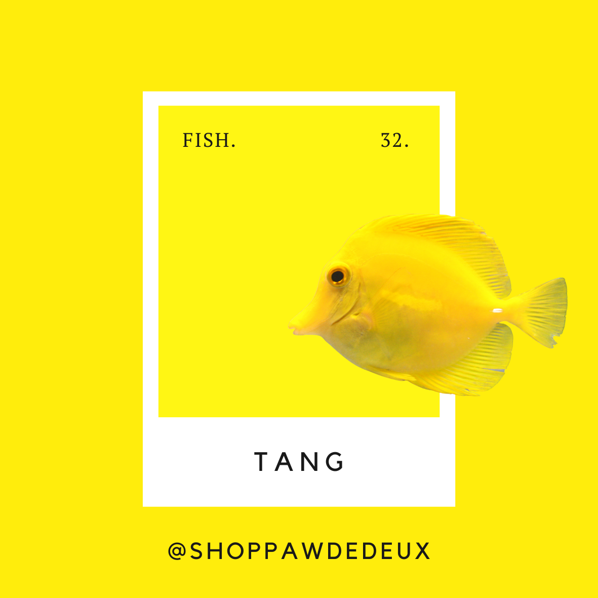 Tang Pawtone Color Swatch Sticker (#32)