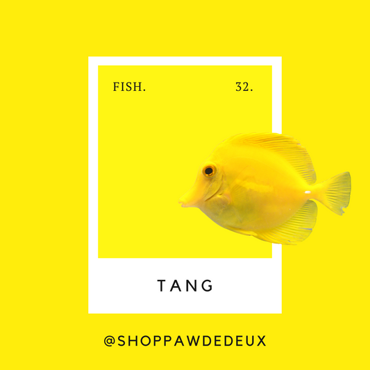Tang Pawtone Color Swatch Sticker (#32)