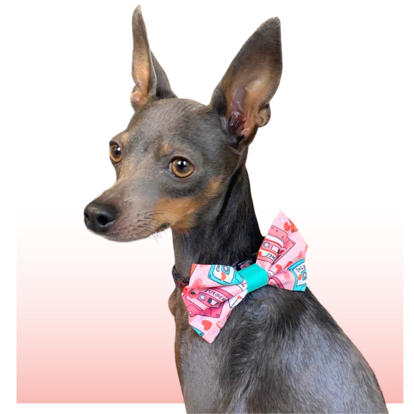 Mix Tape: Love Songs Pet Bowtie