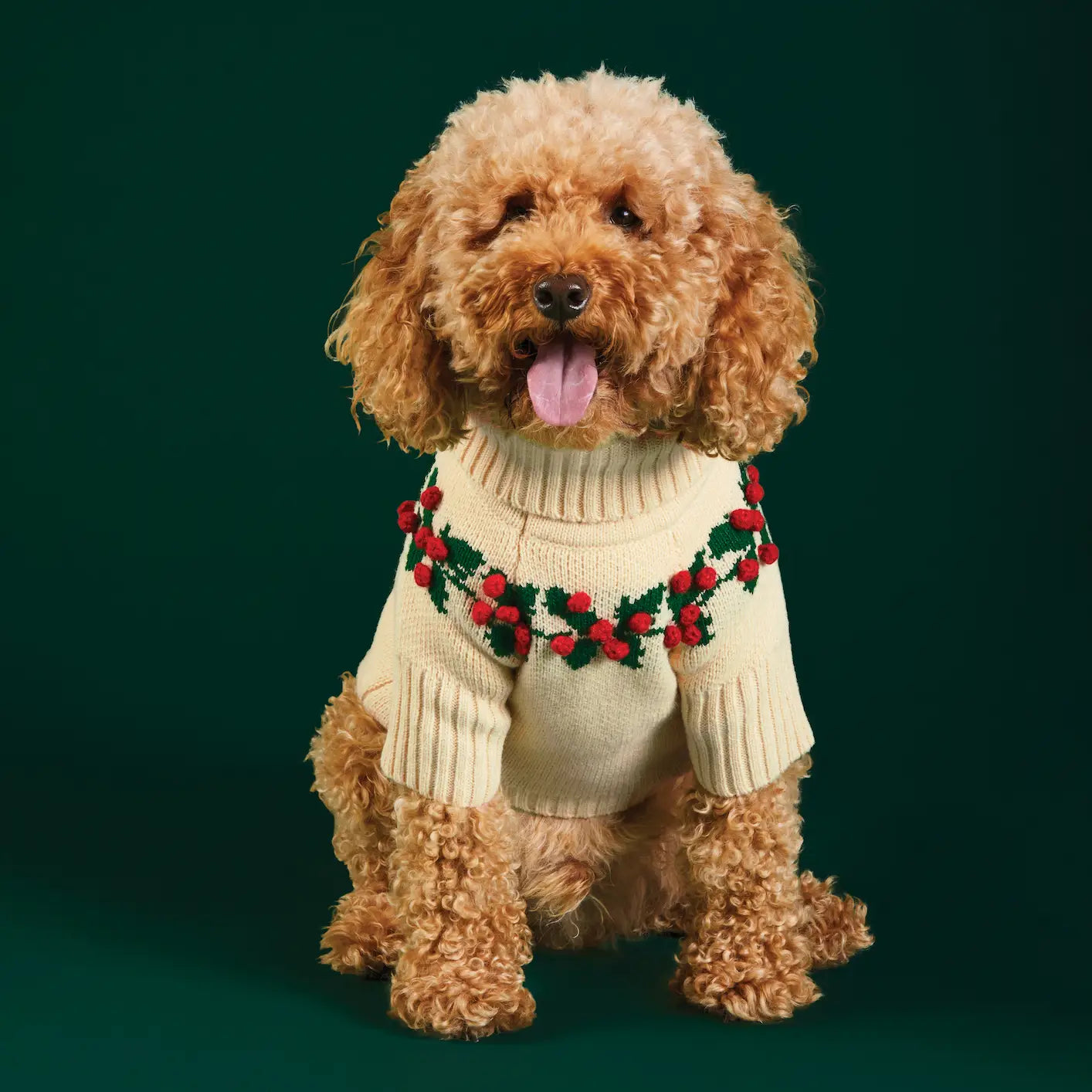 Holly Bobble Holiday Pet Sweater