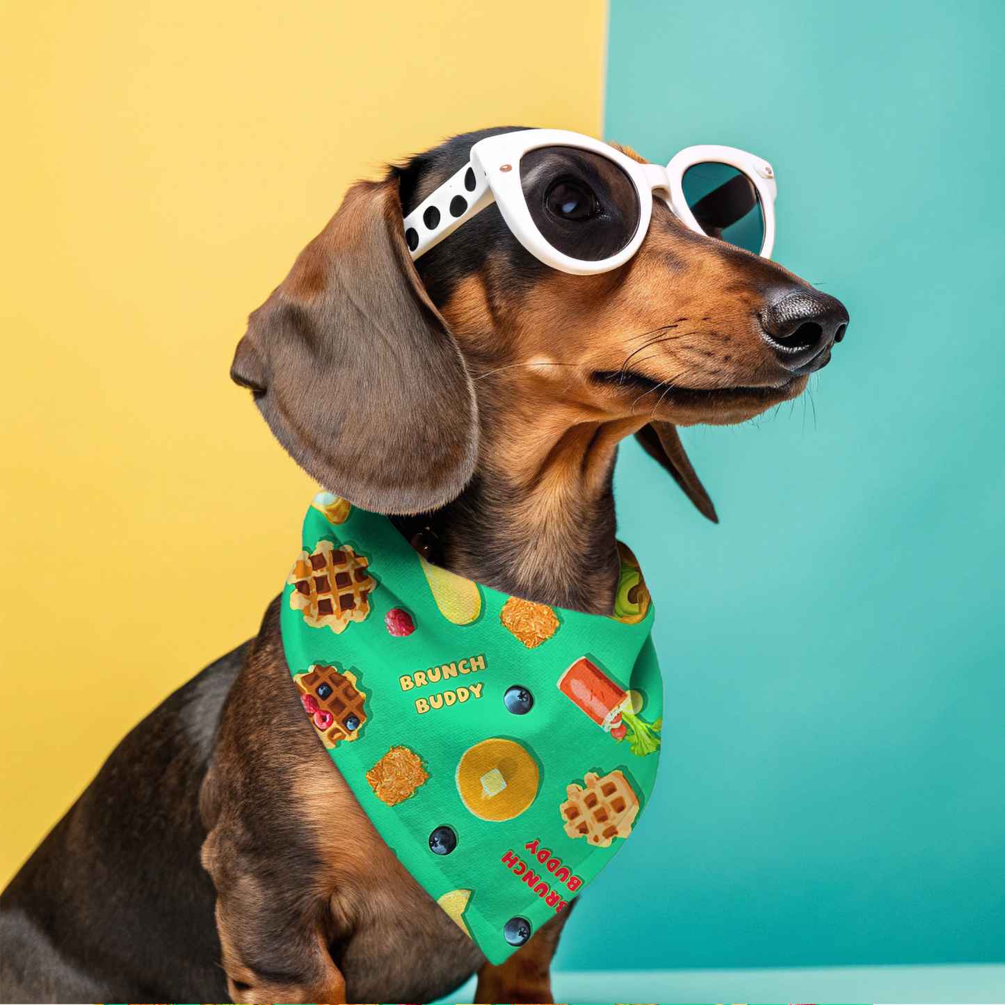 Brunch Buddy Classic Pet Bandana
