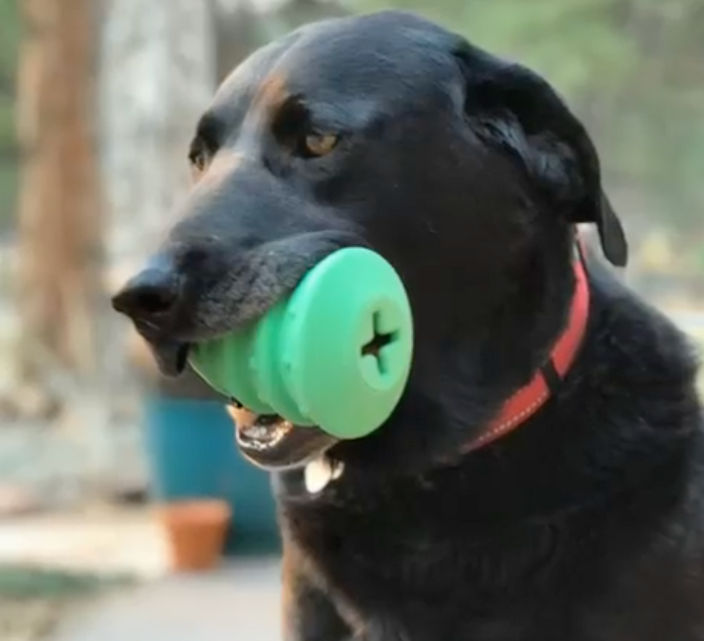 Christmas Tree Treat Dispenser Toy