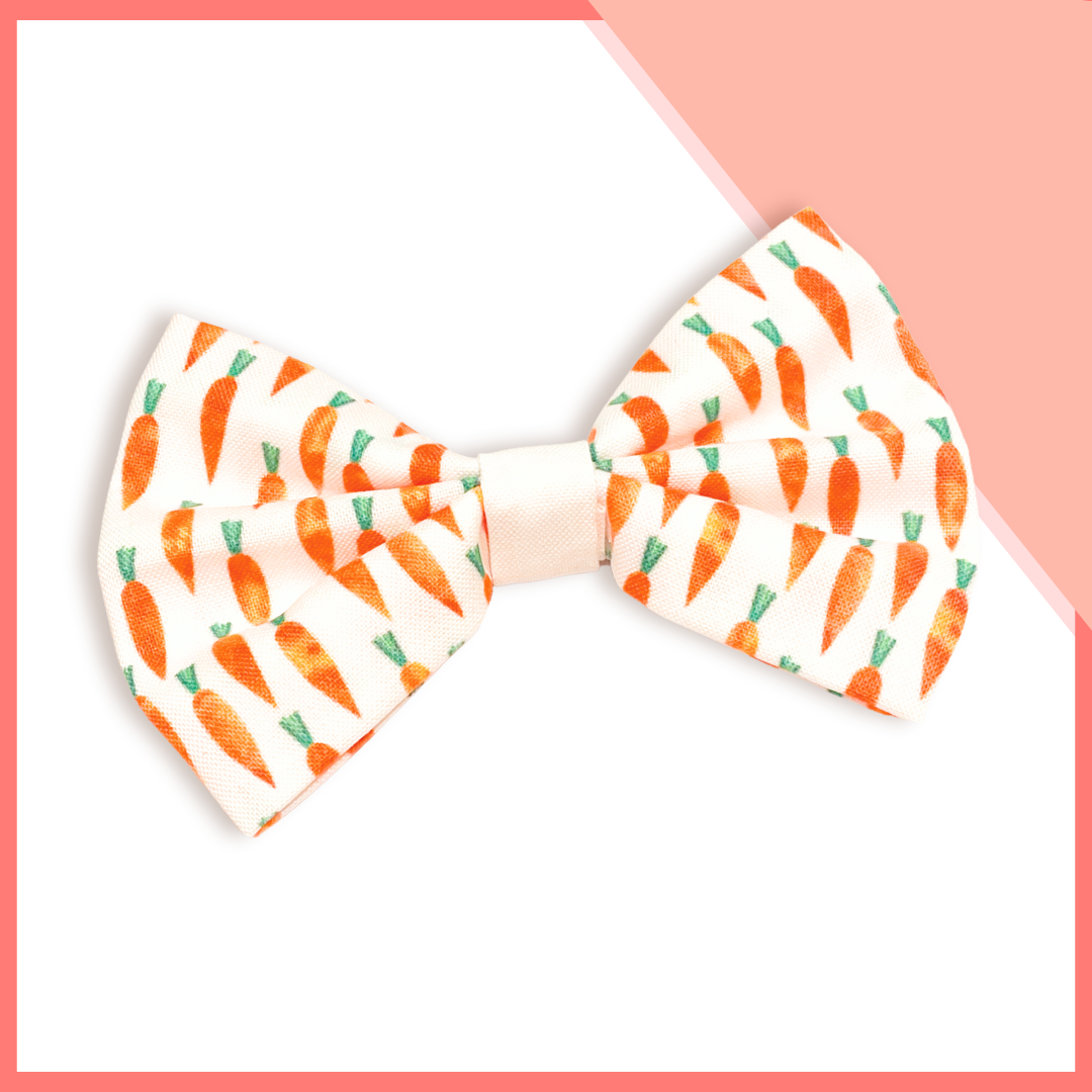 Little Carrots Pet Bowtie