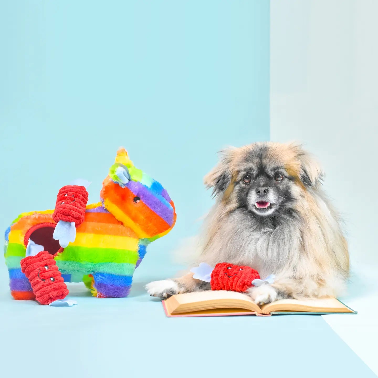 Pinata Burrow Toy