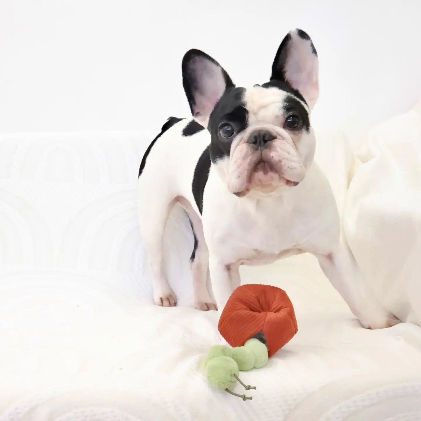 Apple Snuffle Enrichment Dog Toy