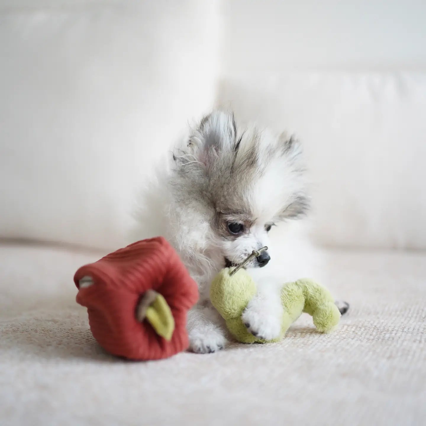 Apple Snuffle Enrichment Dog Toy