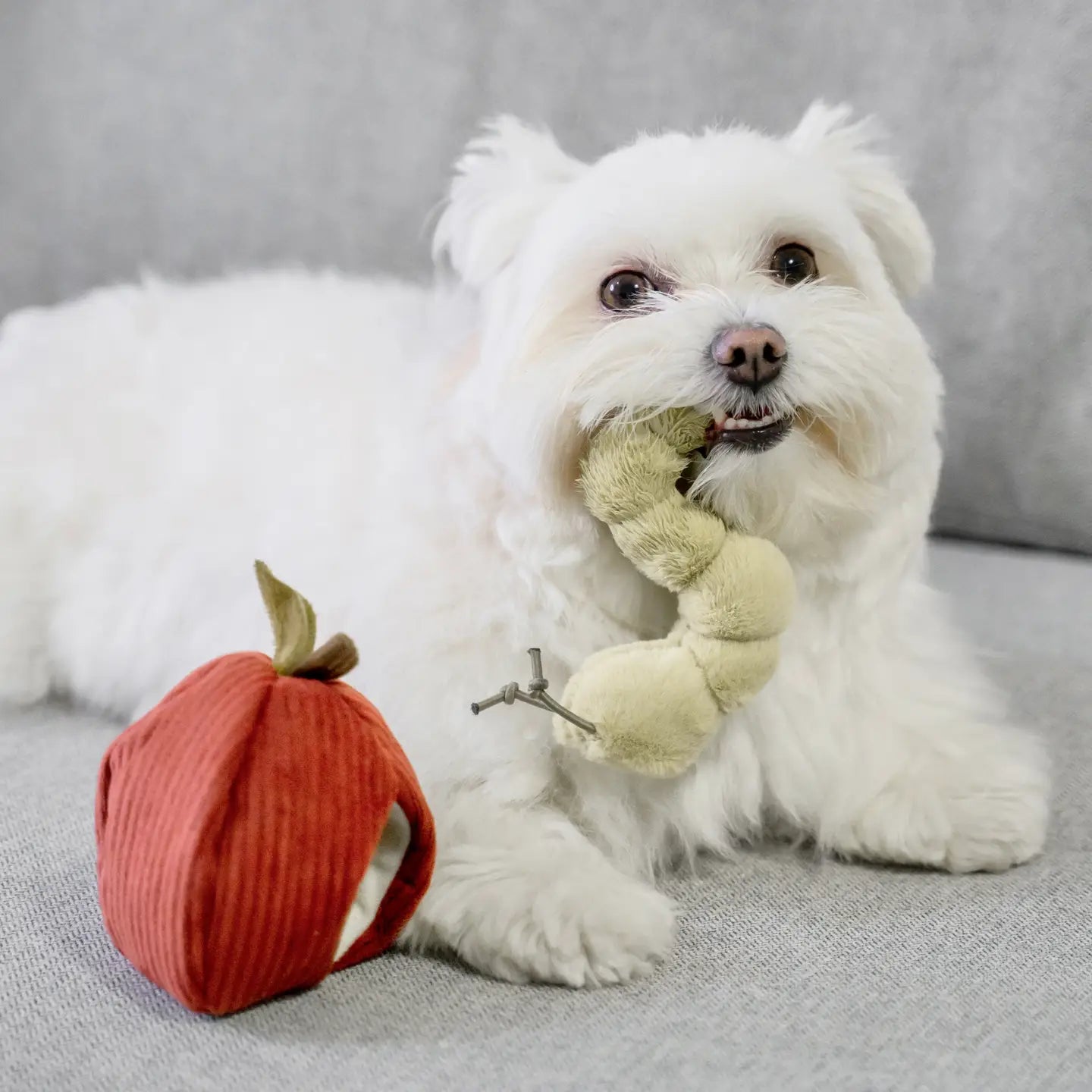 Apple Snuffle Enrichment Dog Toy