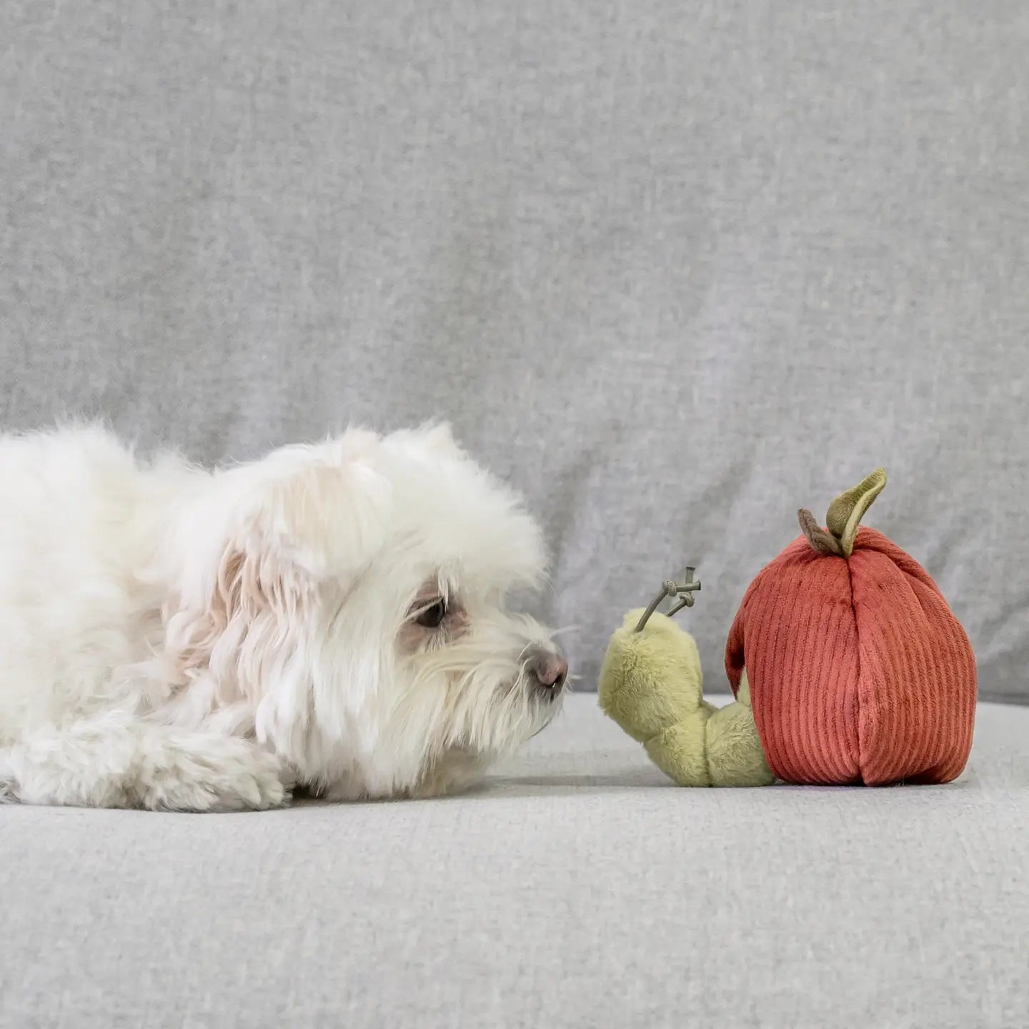 Apple Snuffle Enrichment Dog Toy
