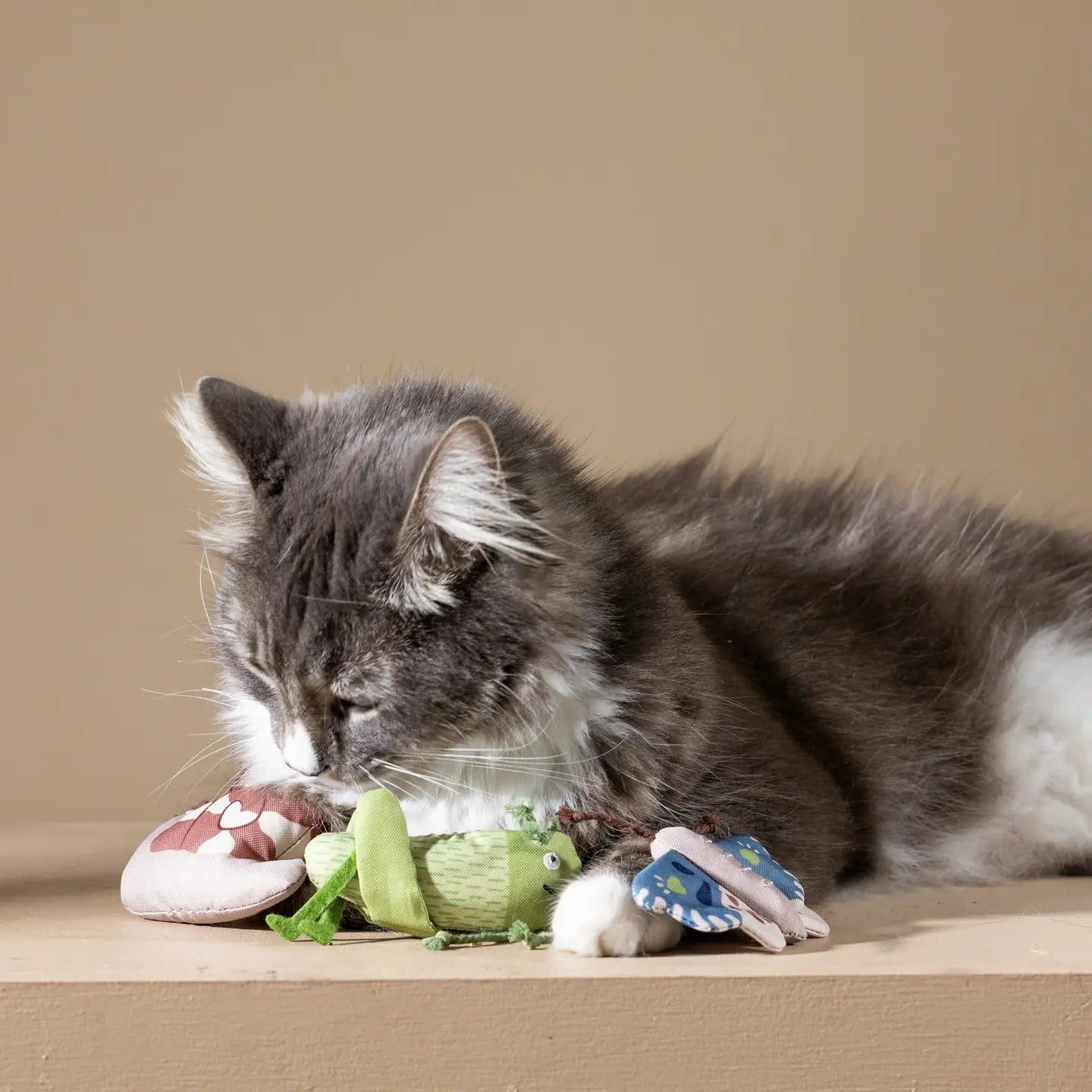 Catnip Bugs Mini Cat Toys