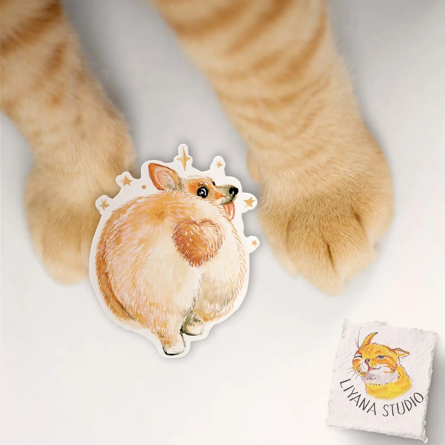 Cute Corgi Butt Vinyl Sticker