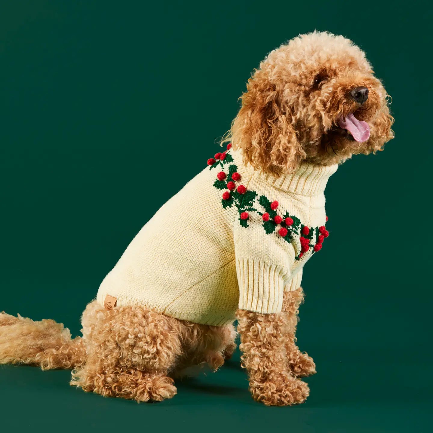 Holly Bobble Holiday Pet Sweater