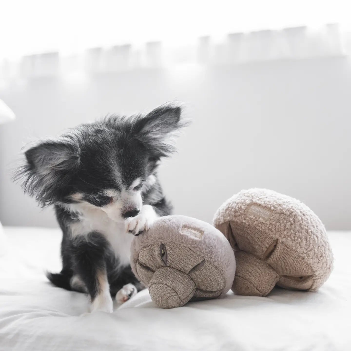 Mushroom Enrichment Toy for Dogs and Cats