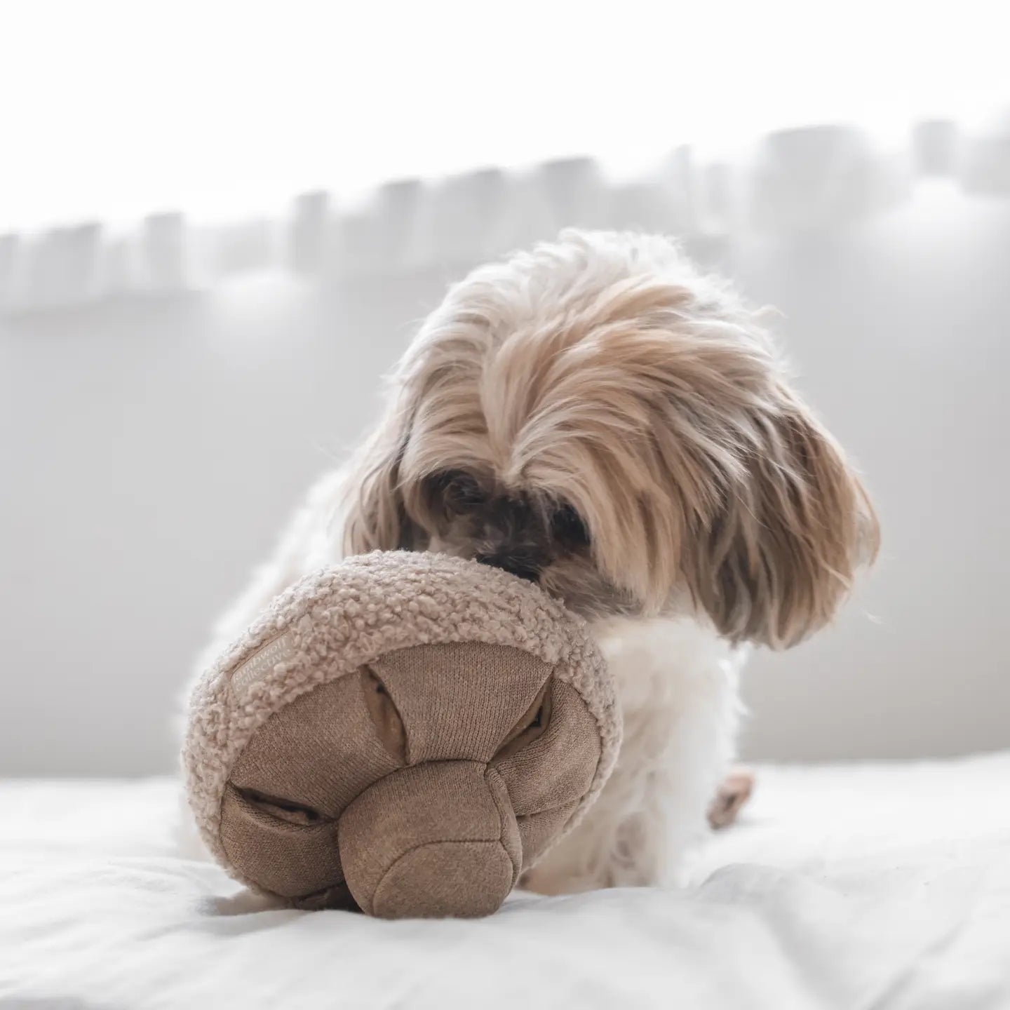 Mushroom Enrichment Toy for Dogs and Cats