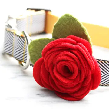 Rose Felted Collar Accessory