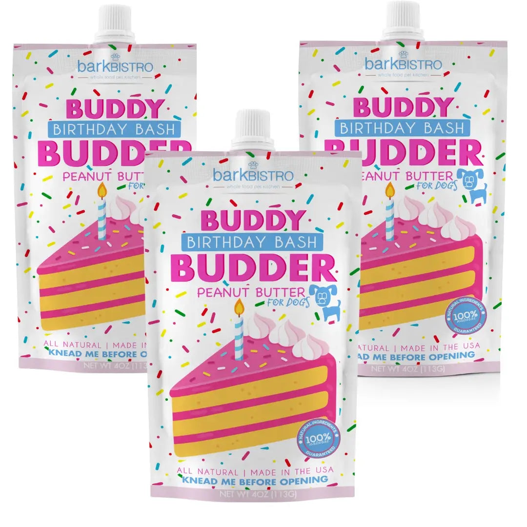 Birthday Cake Buddy Budder Squeeze Packs