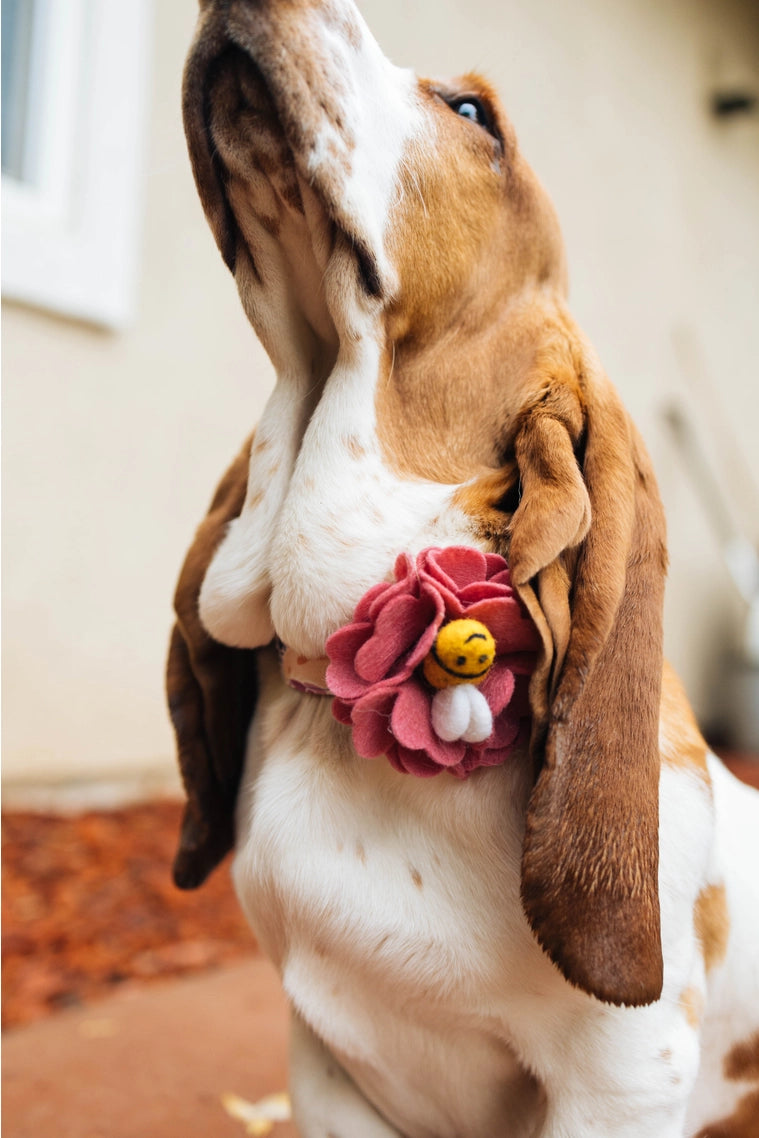Busy Bee Felted Flower Collar Accessory
