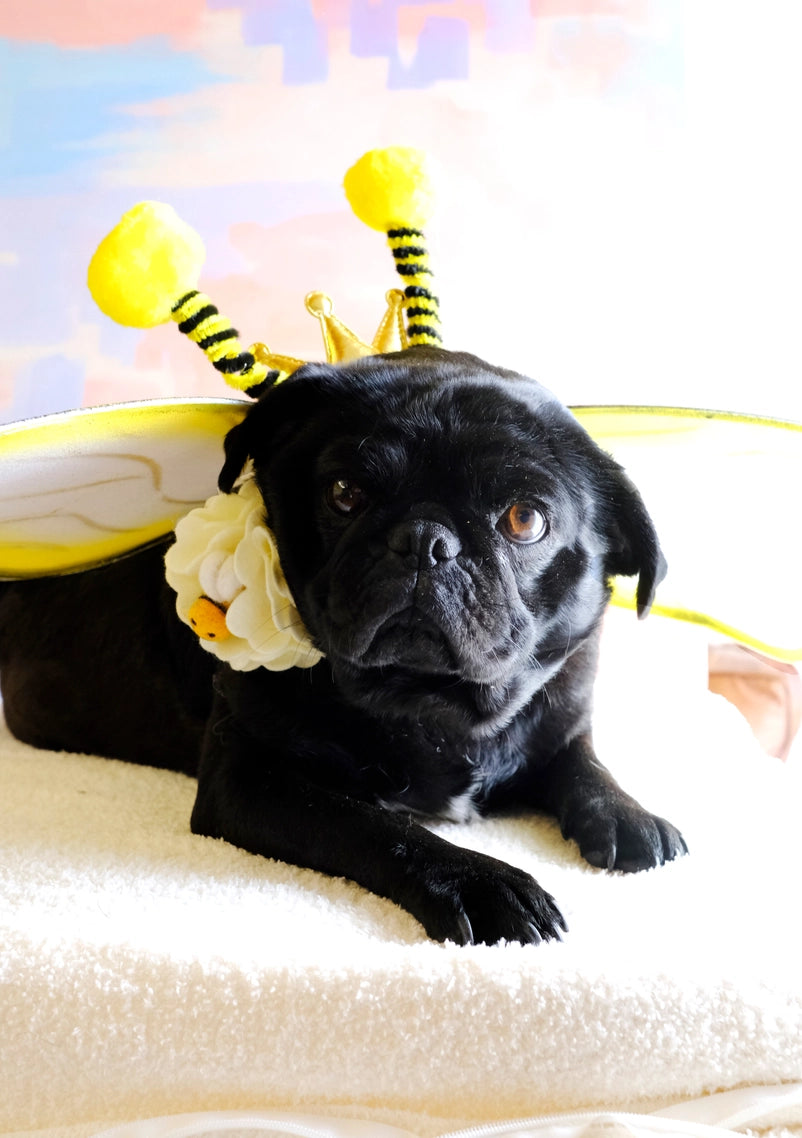 Busy Bee Felted Flower Collar Accessory