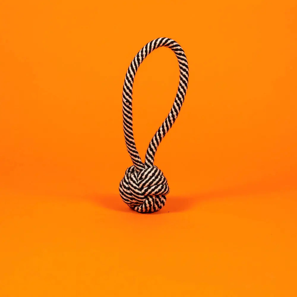 Black and White Rope Knot Toy