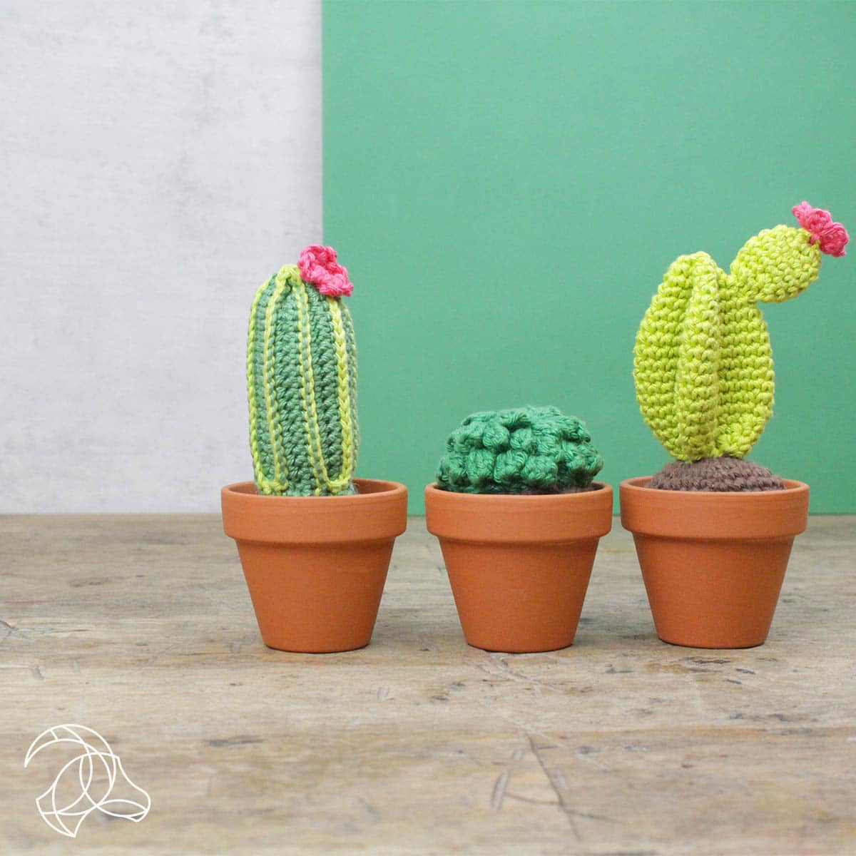 DIY Crochet Kit: Cacti
