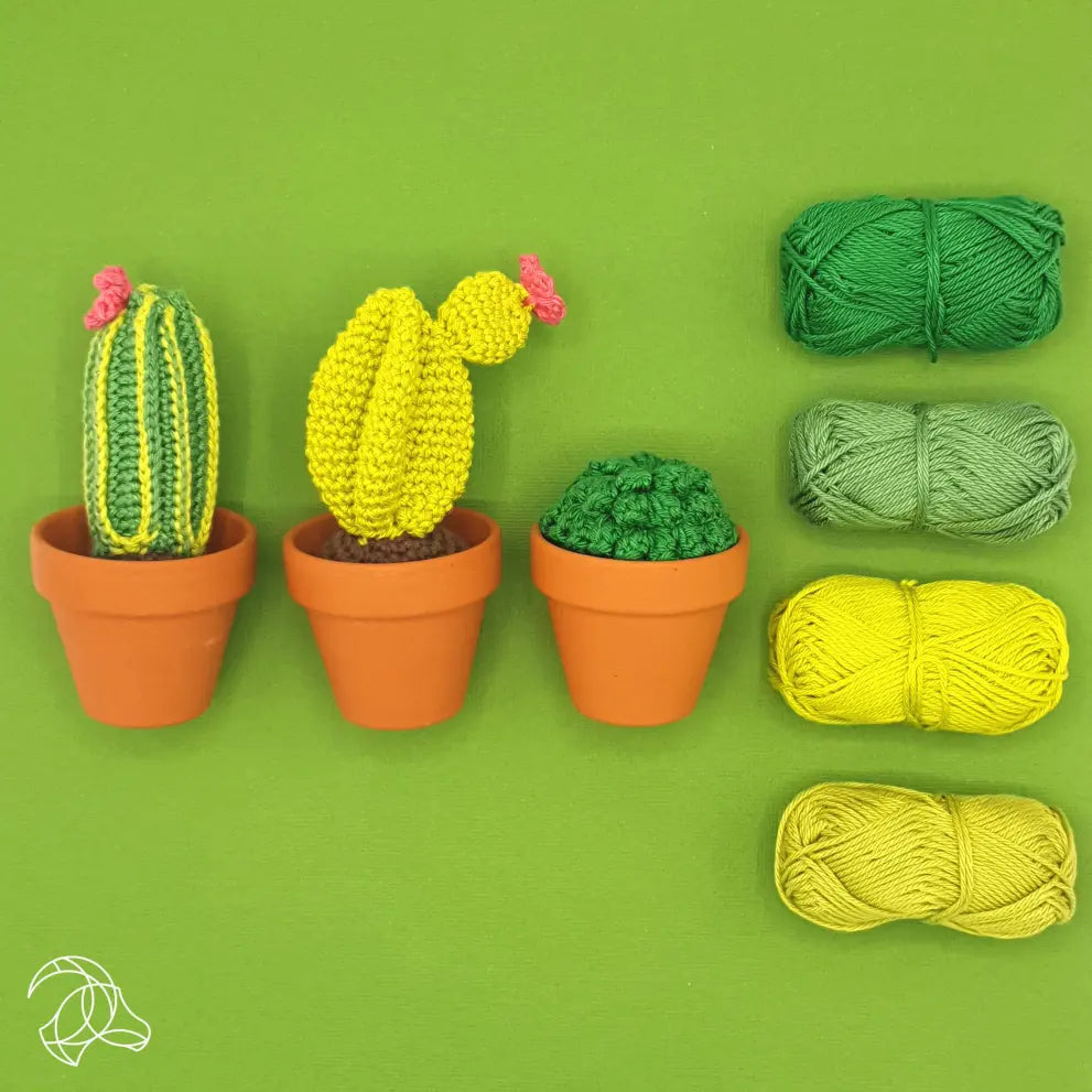 DIY Crochet Kit: Cacti