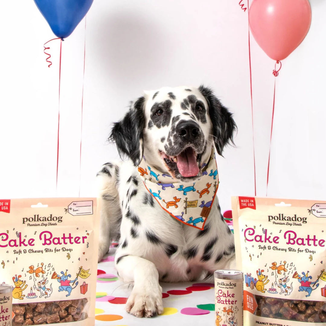 Polkadog Birthday Cake Batter Treats