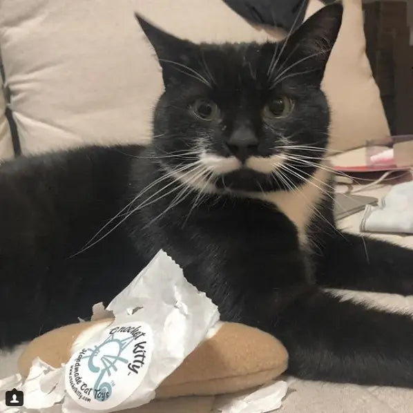 French Baguette Catnip Toy