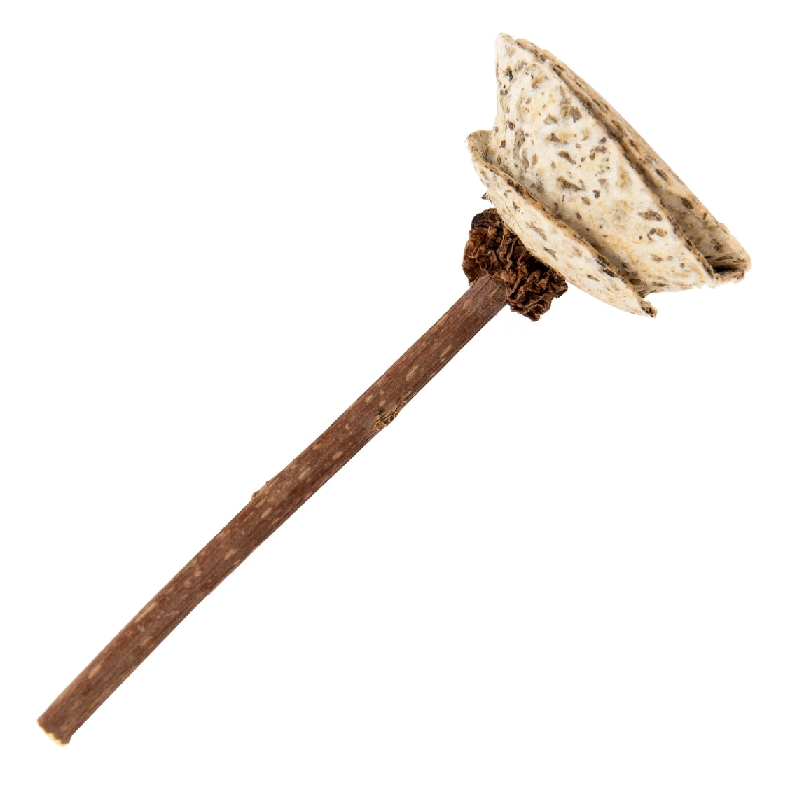 Silvervine and Catnip Paper Rose Toy for Cats