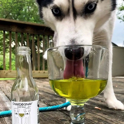 Dog Wine: Zinfantail and Chardognay
