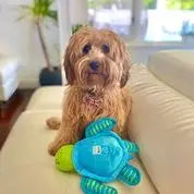 Clean Earth Recycled Plush Turtle Dog Toy