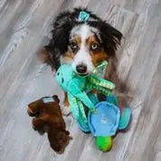 Clean Earth Recycled Plush Turtle Dog Toy
