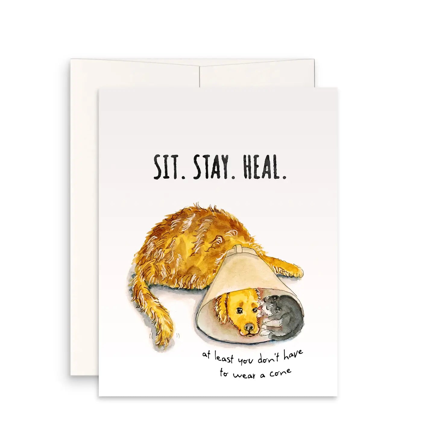 "Sit Stay Heal" Get Well Card