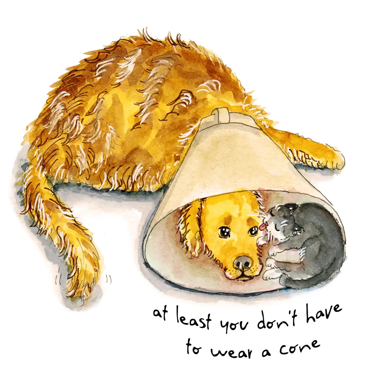 "Sit Stay Heal" Get Well Card