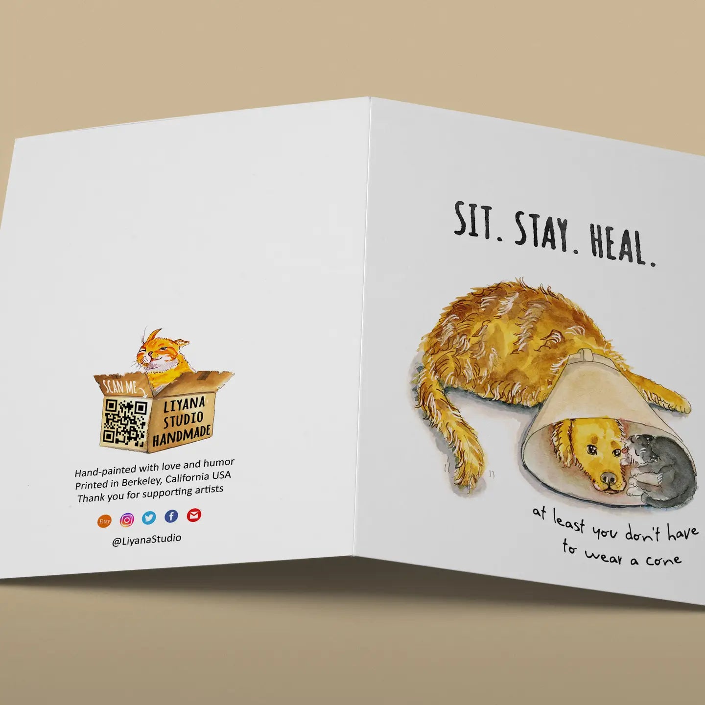 "Sit Stay Heal" Get Well Card