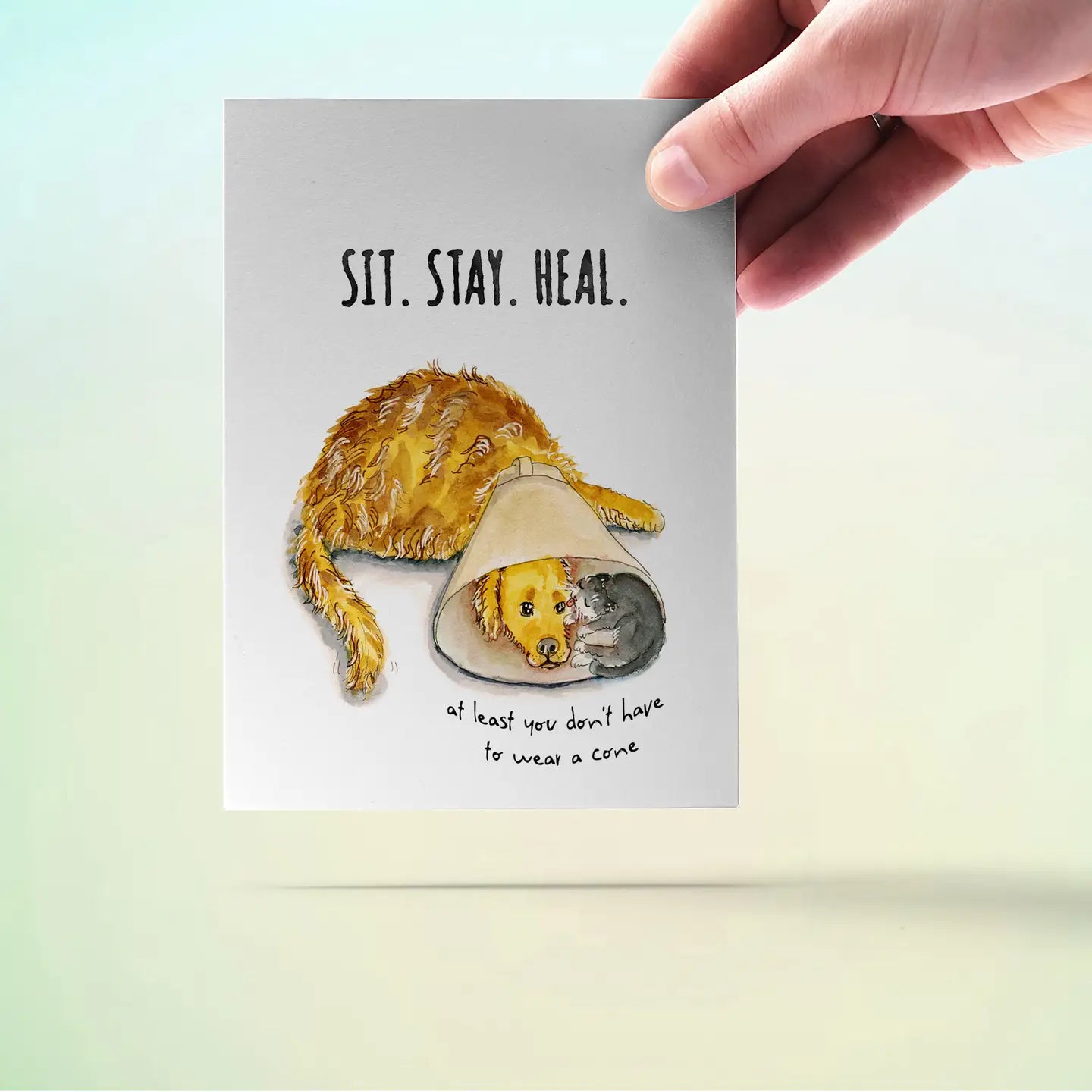 "Sit Stay Heal" Get Well Card