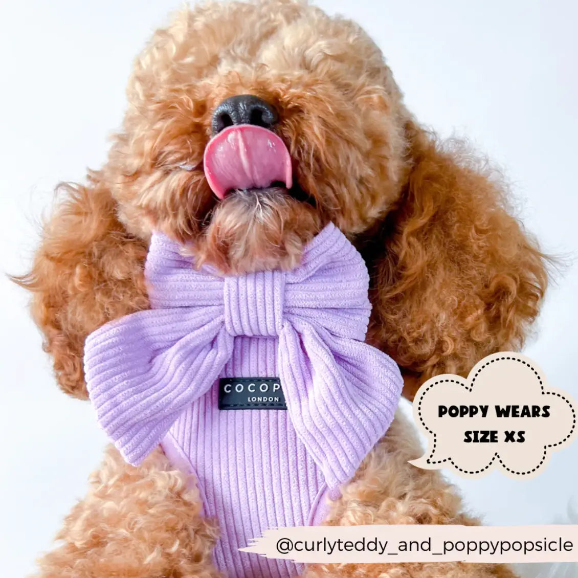 Cocopup Sailor Bow: Lilac Cord