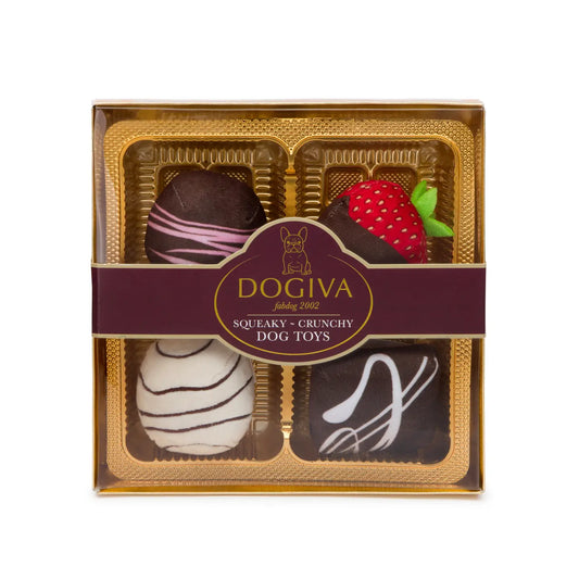 Dogiva Box of Chocolates Plush Dog Toys