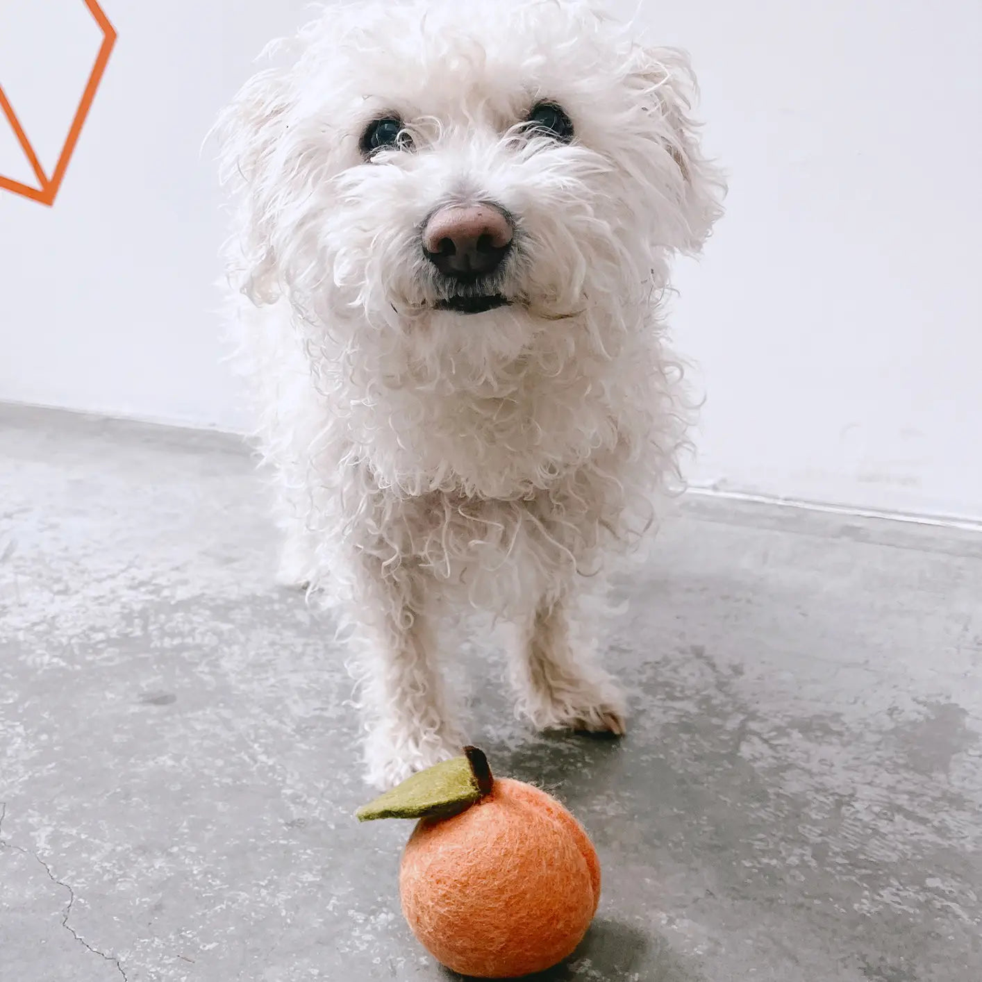 Doggy Peach Toy