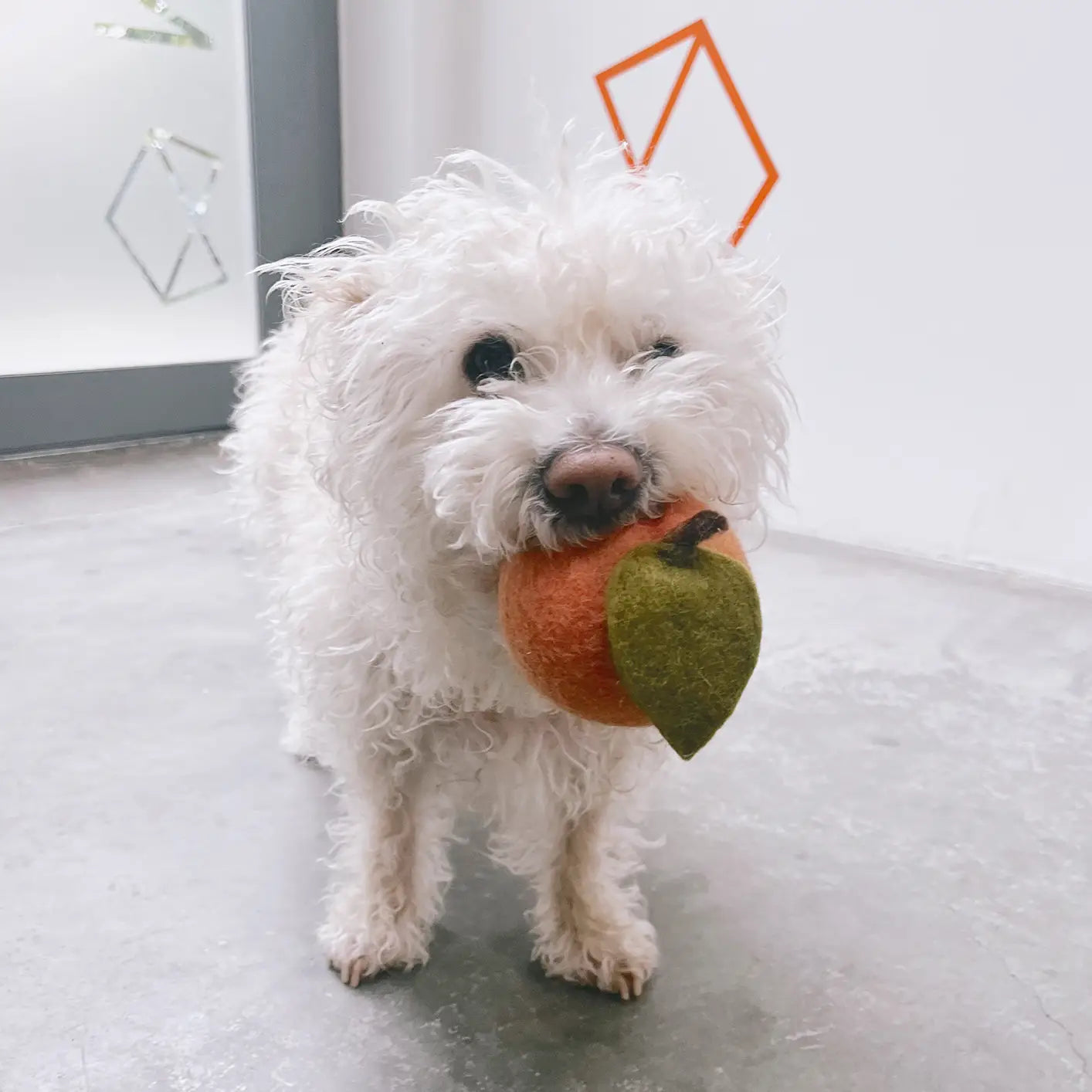 Doggy Peach Toy