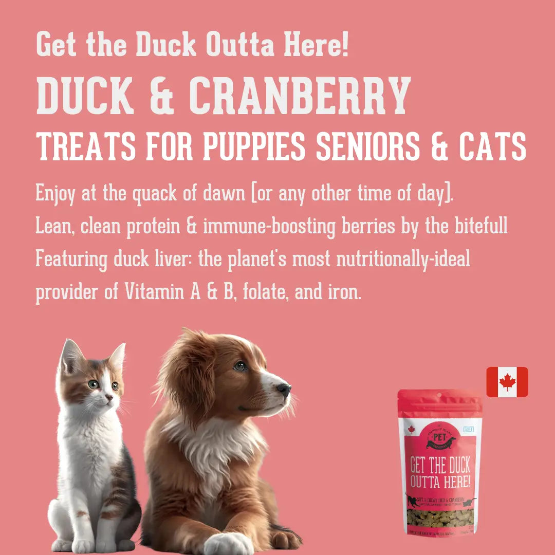 Get the Duck Outta Here! Soft Duck and Cranberry Treats for Cats and Dogs