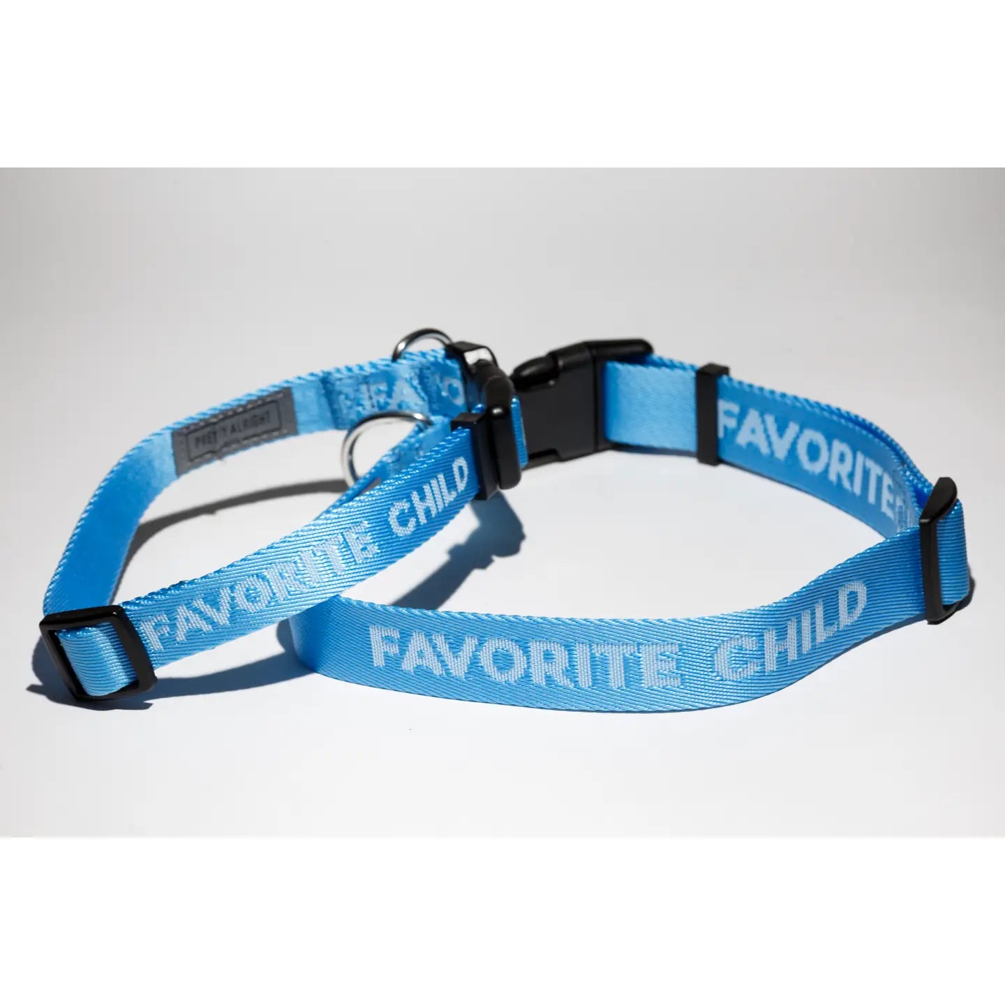 Favorite Child Dog Collar in Sky Blue