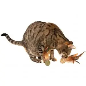 Silvervine Pheasant Feather Ball for Cats