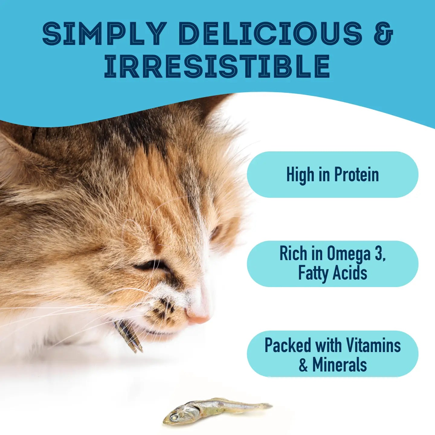 With Love and Fishes! Dehydrated Whole Sardines for Cats and Dogs (and even Humans)