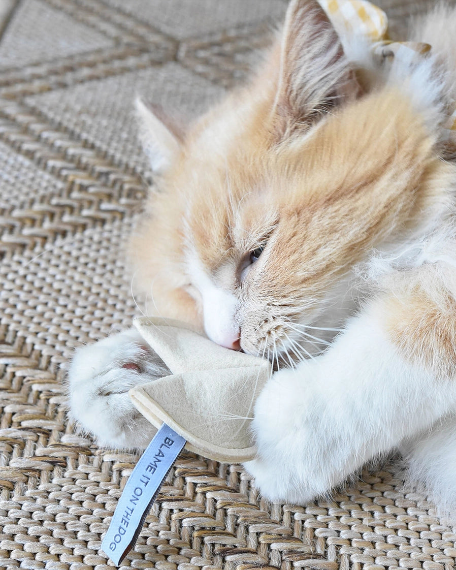 Fortune Cookie Catnip Toy