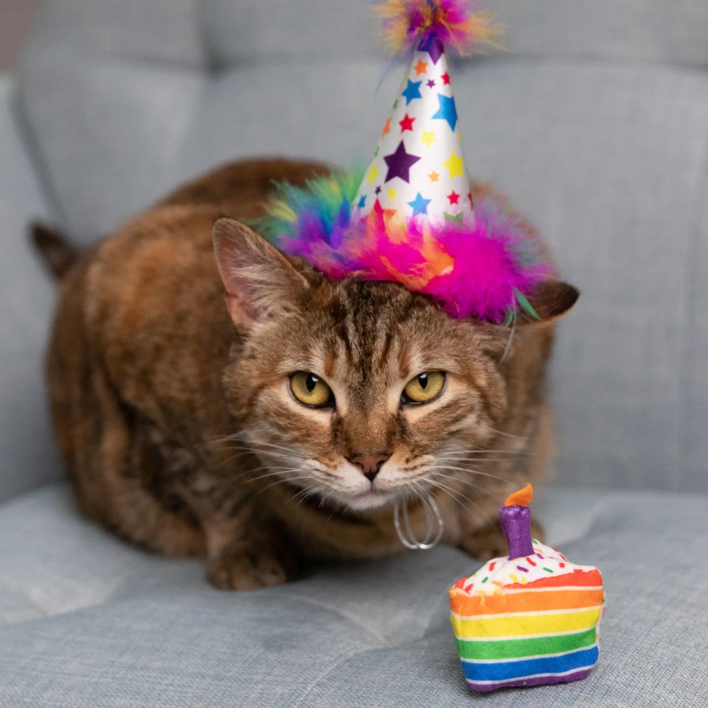 Funfetti Cake Catnip Toy for Cats